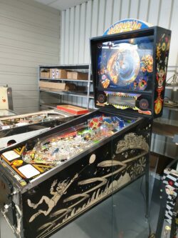 Rétrogaming : réparation flipper et arcade Angers